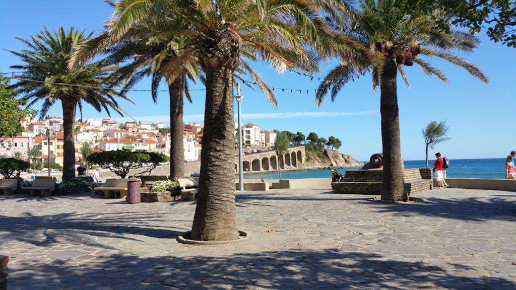 Studio "Les Roches Blanches" - Vue Mer & Vignes Banyuls-sur-Mer Exterior photo