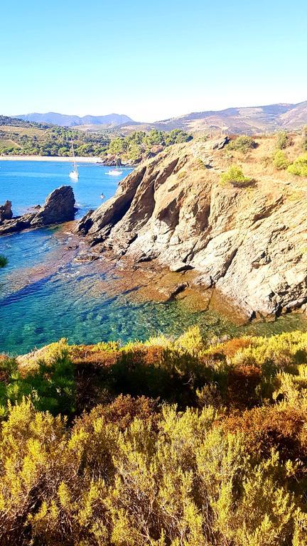 Studio "Les Roches Blanches" - Vue Mer & Vignes Banyuls-sur-Mer Exterior photo